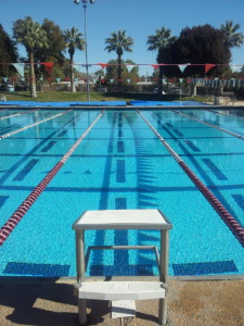 大会結果報告 FINA スイミングワールドカップ東京ラウンド2018